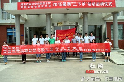 后勤组郑彩霞三下乡社会实践活动总结与感想