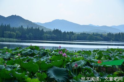 盛夏
