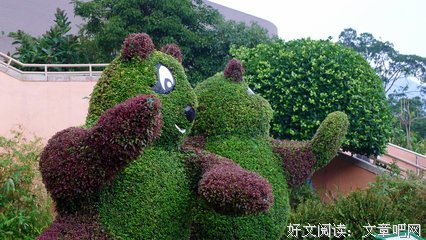 园艺