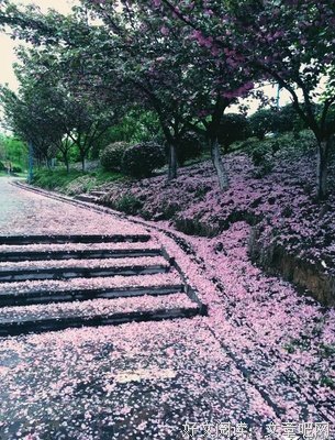雨落的声音