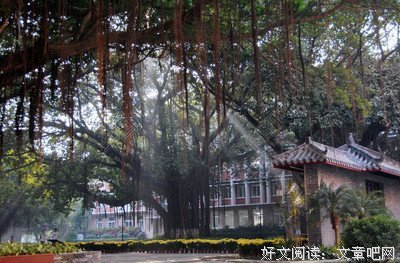 “岭南师范学院晨光社会实践队”：杂感