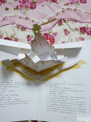 耐心予你，欣慰予我
