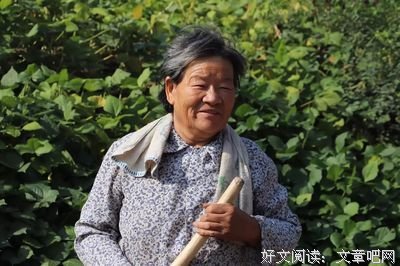 失落与欣慰