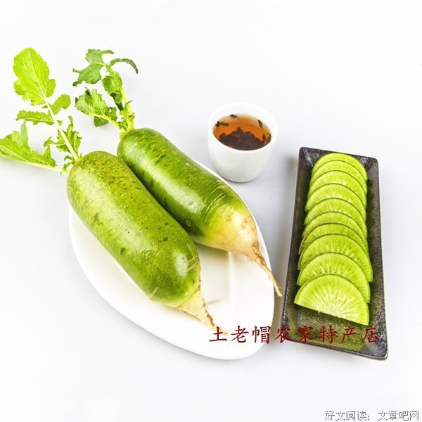 岭师“晨光”三下乡：梁屋“晨光”有穷时，只有相思无尽处