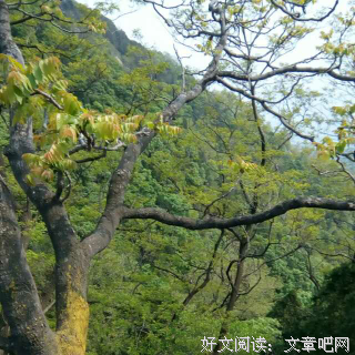 人孰能无过