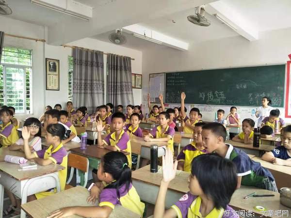 支教之行，护鸥之旅