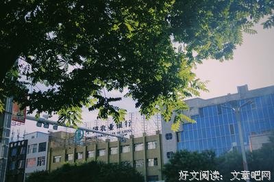 美妙的一天