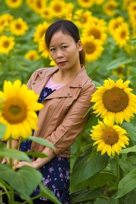 此前总总，金色记忆