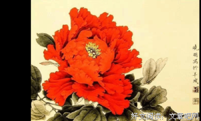 无忧年纪，无忧人生