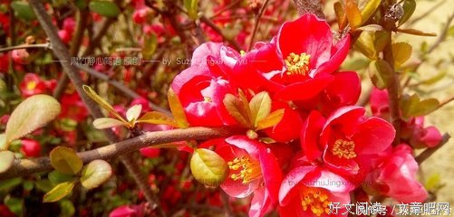 积极面对，方得无悔