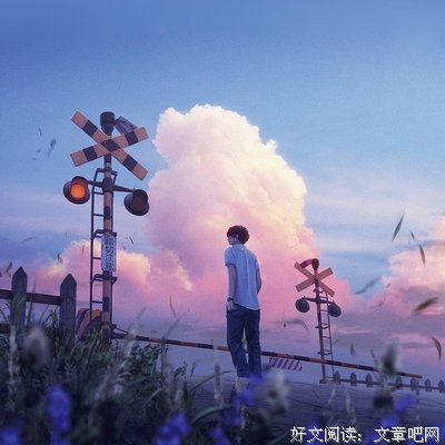 元气社会实践队心得感悟——记录下每一处生活的美
