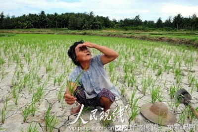 不舍长坡，不舍“晴天”