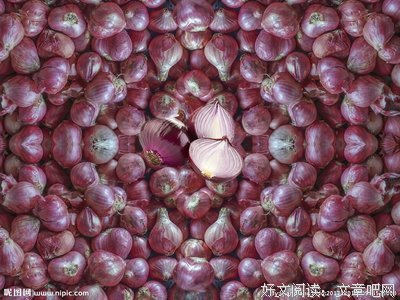 生物创客——洋葱DNA项链