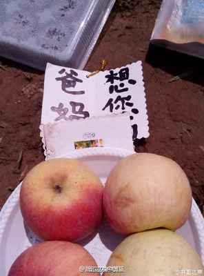 第六天的山头，第六天的“星”声（2）