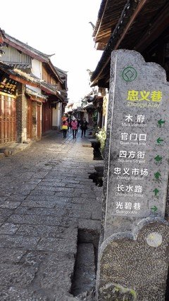 虽有风雨，无悔此行