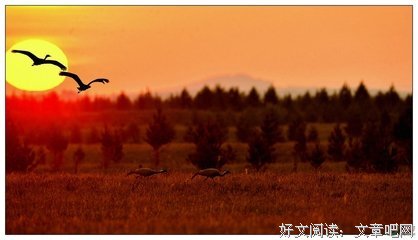 我们一起成长