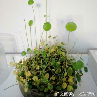 我愿意当你们的倾听者