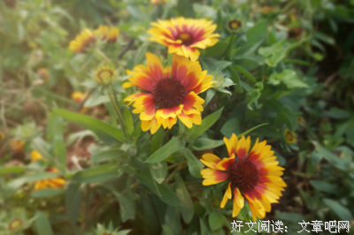 微笑向阳，温暖你我