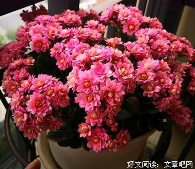 剪不出的是他们的未来