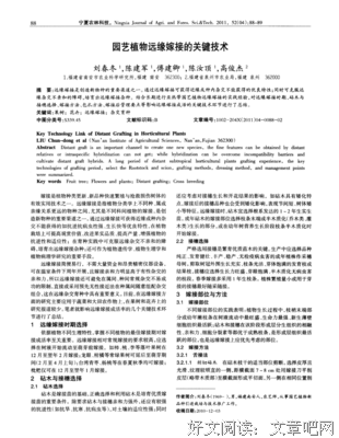纸短情长，鸢远缘深