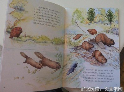 莫文婷三下乡心得——我们都在成长