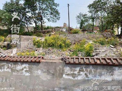 包子的下乡之旅（游园）
