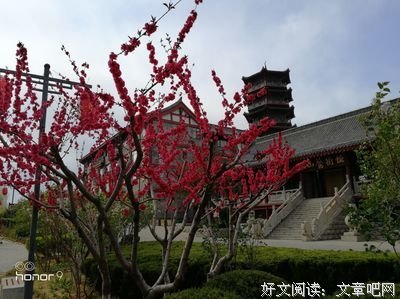 缘聚缘散，缘深缘浅