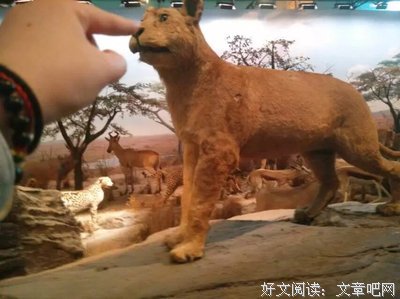 无悔充足准备