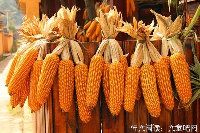 归期将即，恐后会无期