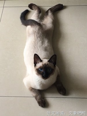 舍得与分离