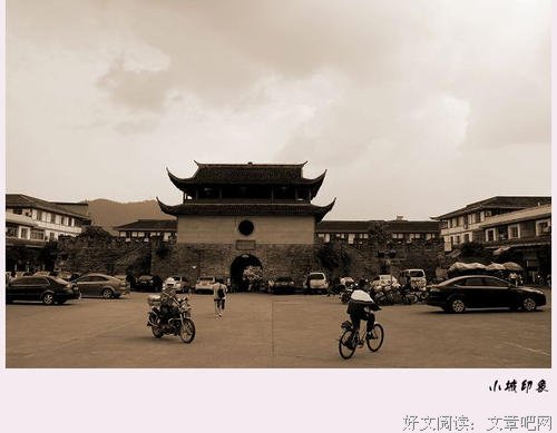 1984，相遇任大卫的图书馆