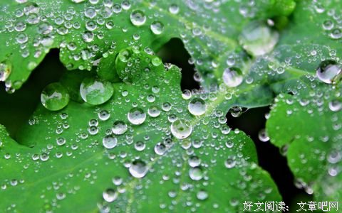 白板承托火把世界的爱
