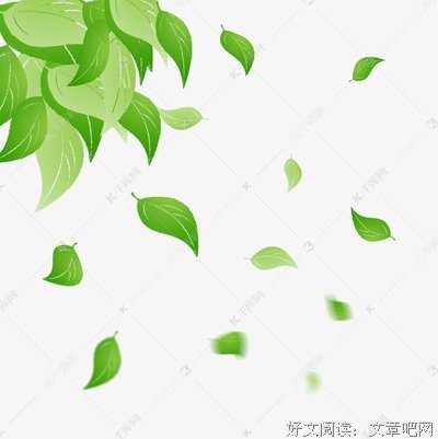 落叶之下