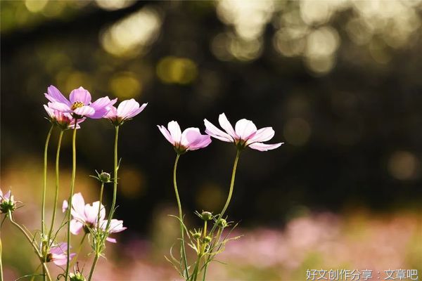 修一个好脾气，就是修一世好福气