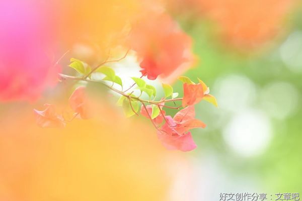 焦虑