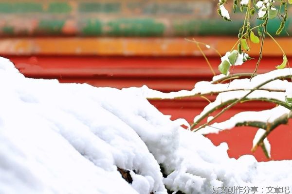 神奇的探险之旅