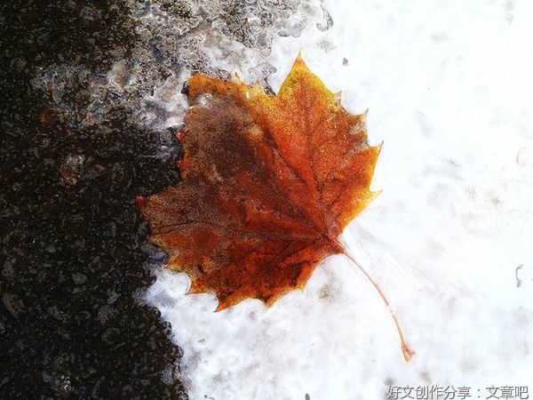 原来媳妇是外人