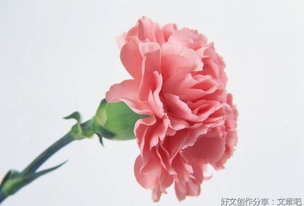 时光匆匆，又是年终岁尾时