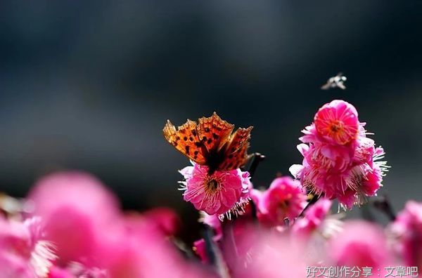 心态对了，赚钱就不累了