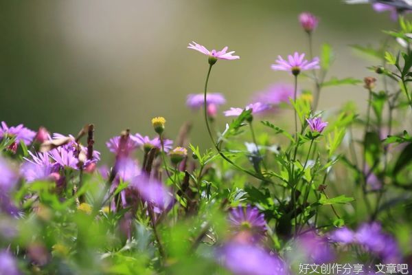 人活着，谁都不容易（好文）