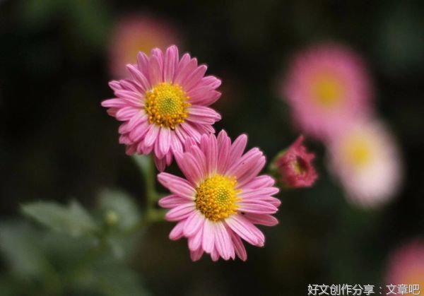 改变的力量（深度好文）