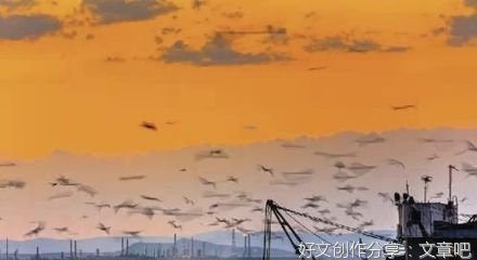  家越干净，人越有福（深度好文）