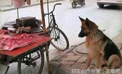  幽默段子：考验