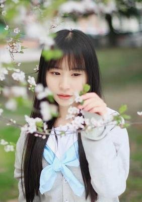 情感故事：最后一朵玫瑰