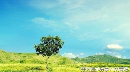  狗喂不饱，人讨不好，太现实了