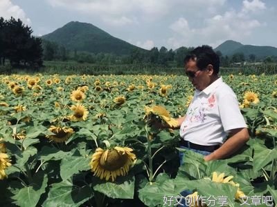花会如期开放，爱会如期抵达