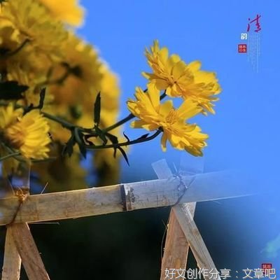  早读：心若淡然，人亦安然