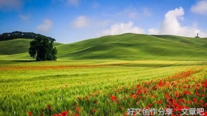  始于志趣，忠于人品，久于真心