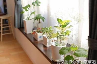  家，越干净，越有福