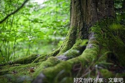 一个人越来越强大的3种迹象：放下是非、放宽心态、放低姿态